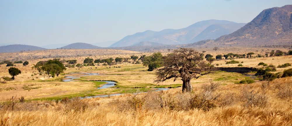 Der grosse Ruaha-Fluss fliesst durch den Park