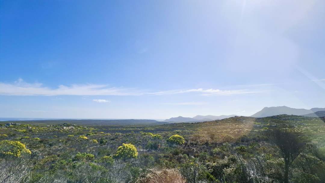 Landschaft auf der Kap-Halbinsel