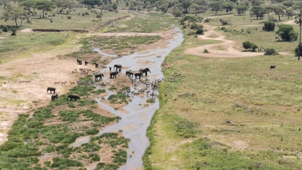 Der Tarangire-Fluss ist fast trocken