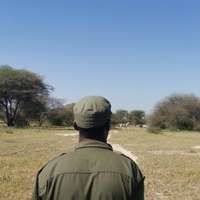 Walking Safari im Tarangire