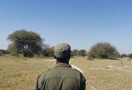Walking Safari im Tarangire