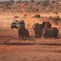 Pirschfahrt im Tsavo East Nationalpark