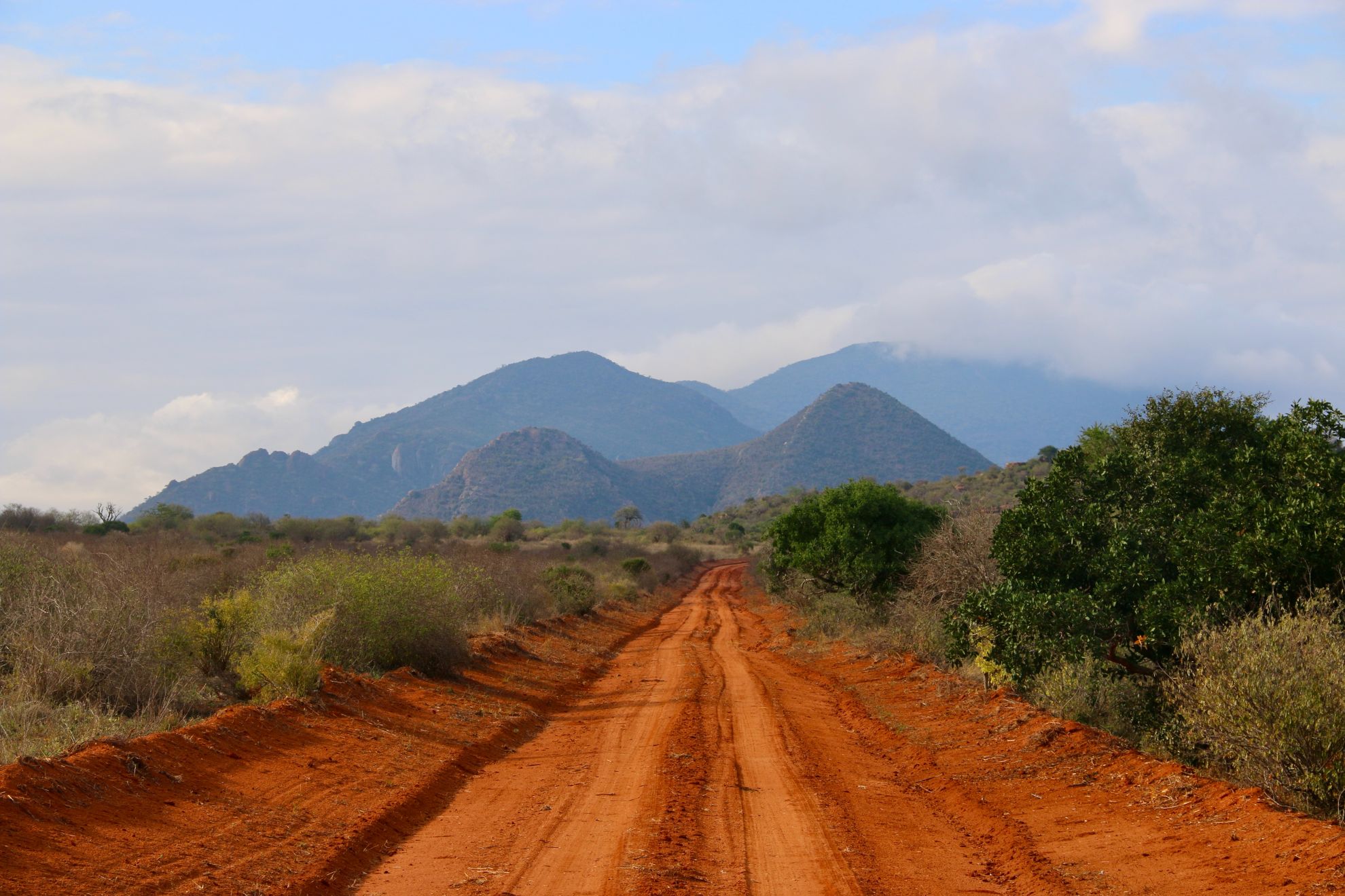Strasse mit roter Erde im Tsavo Ost Nationalparks