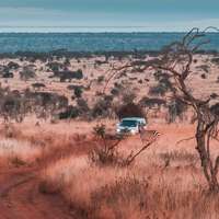 Pirschfahrt im Tsavo West Nationalpark