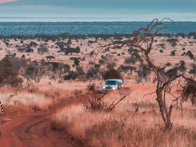 Pirschfahrt im Tsavo West Nationalpark