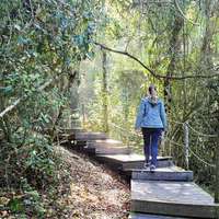 Küstenwanderung in Tsitsikamma