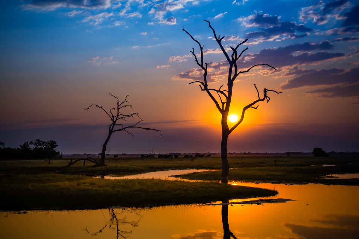 Sonnenuntergang am Chobe River