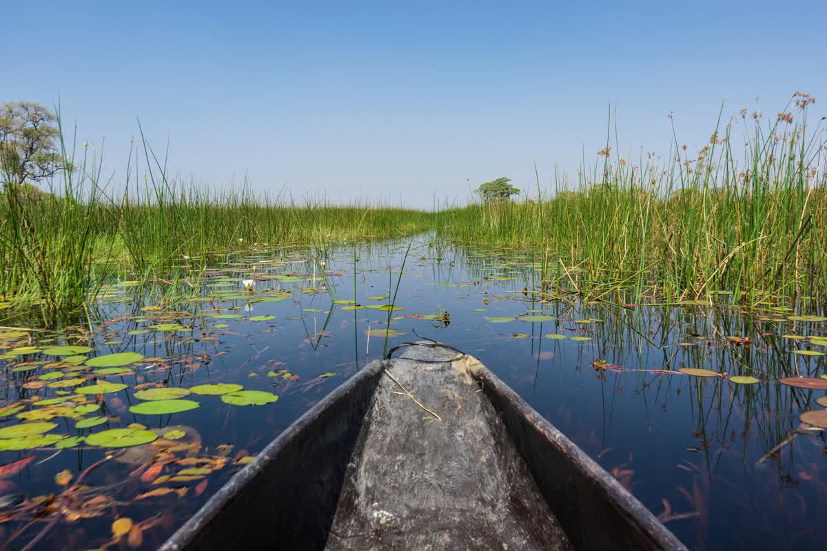 Mokoro-Fahrt im Okavango Delta