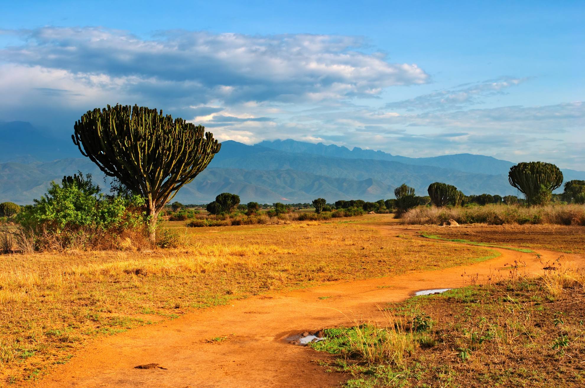 Landschaft im Queen Elizabeth Nationalpark