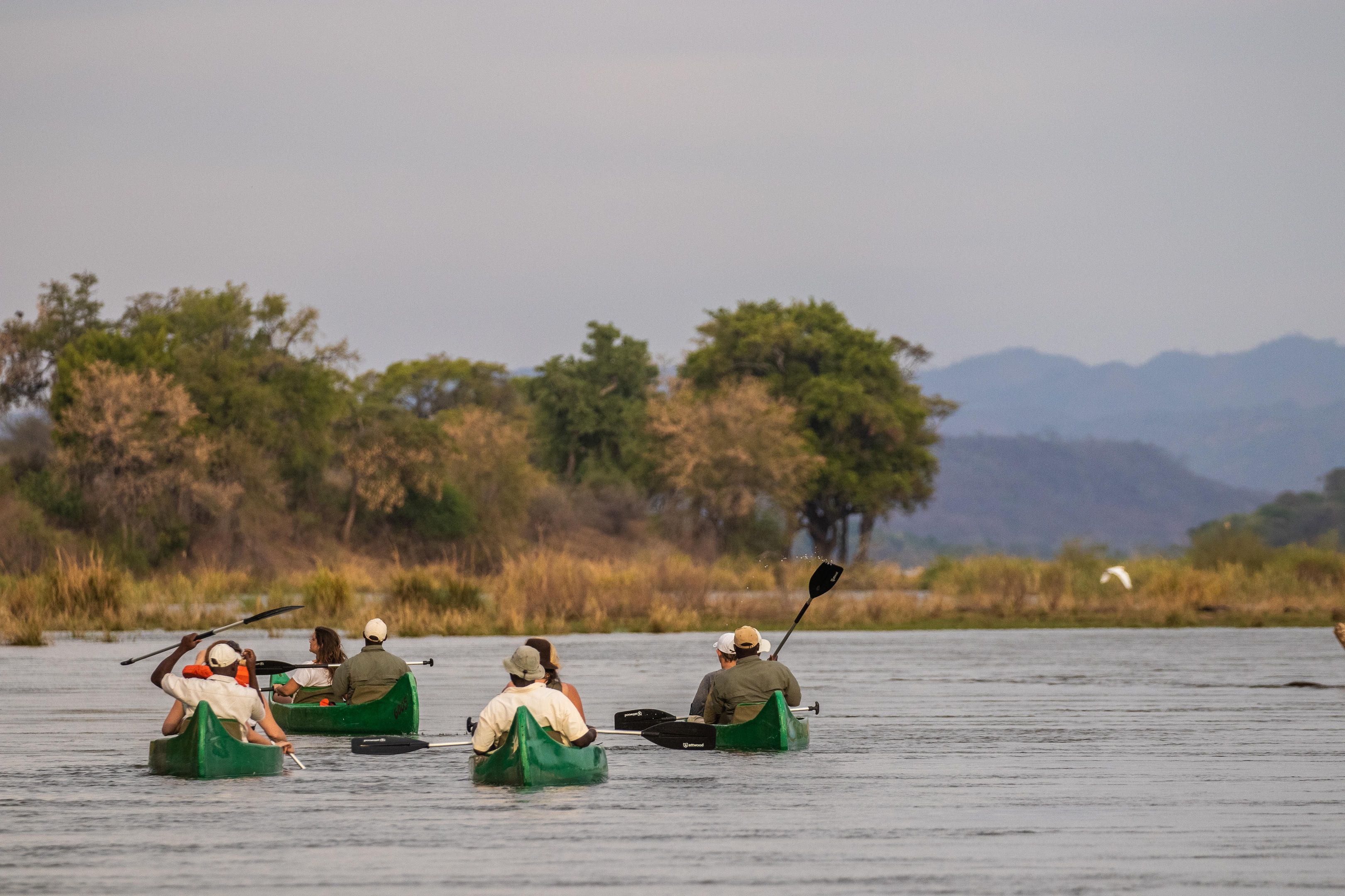 Canoe safari in the Lower Zambezi