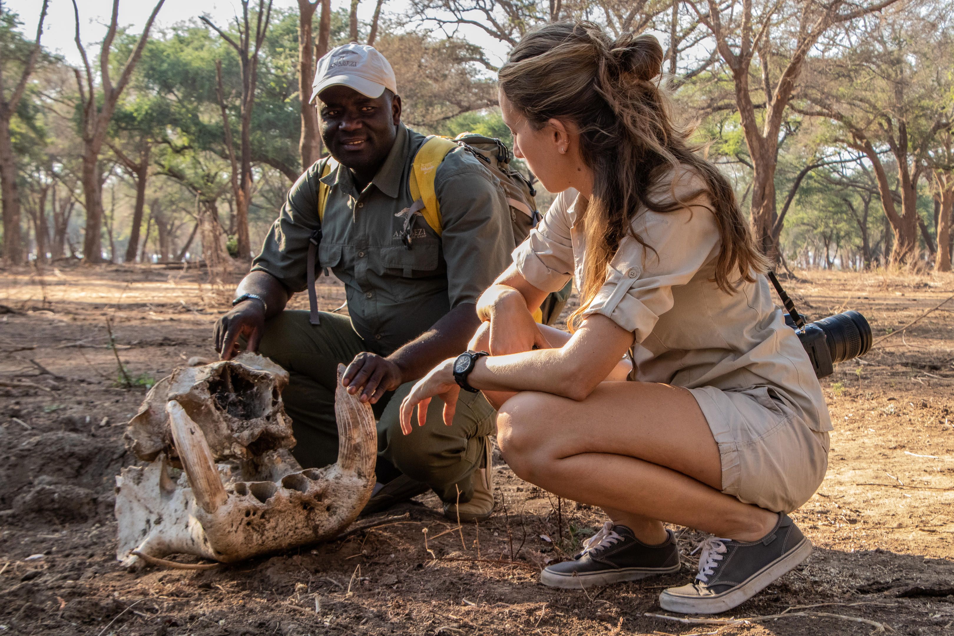 Walking safari in Zambia