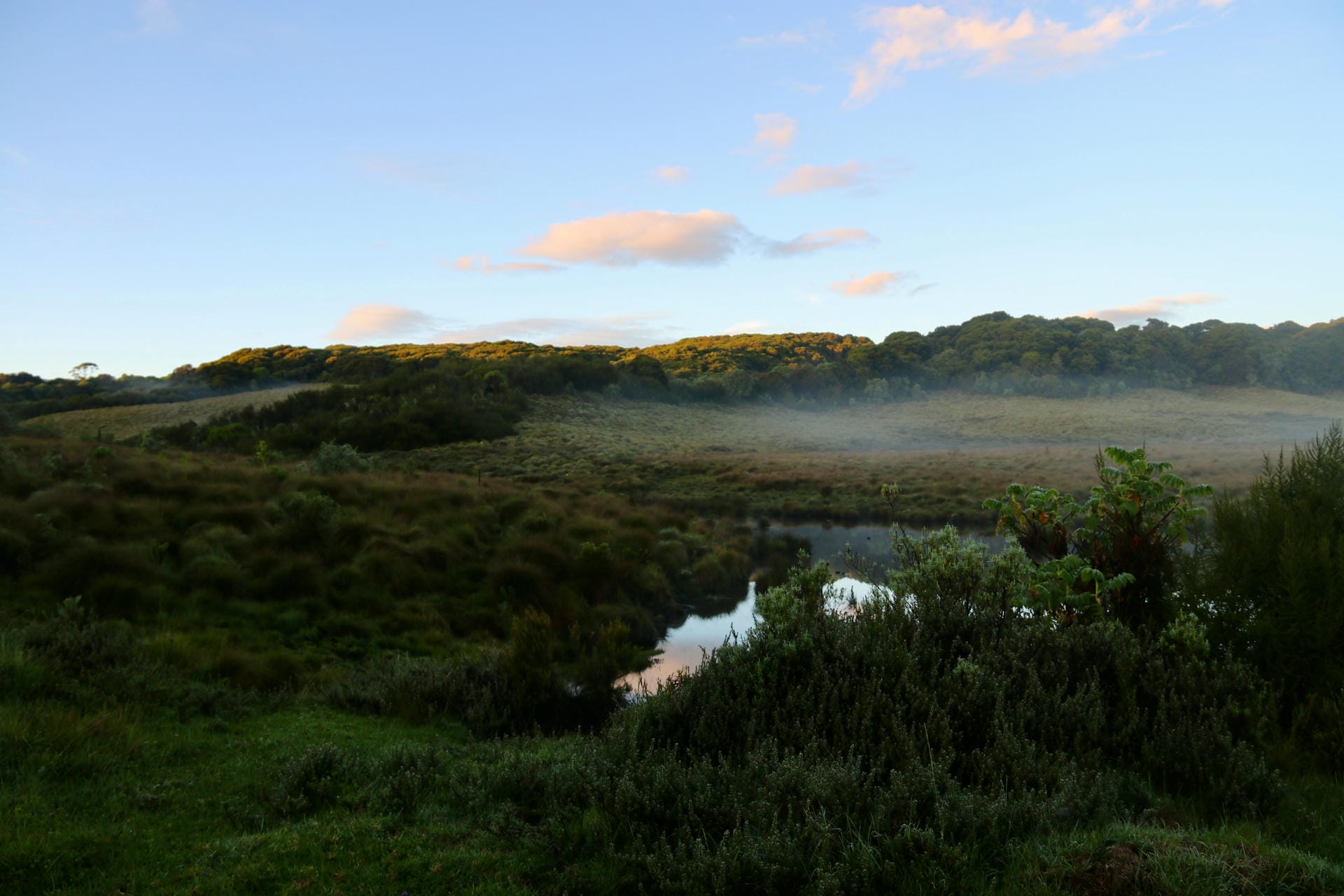 Die einmalige Landschaft im Aberdare Nationalpark