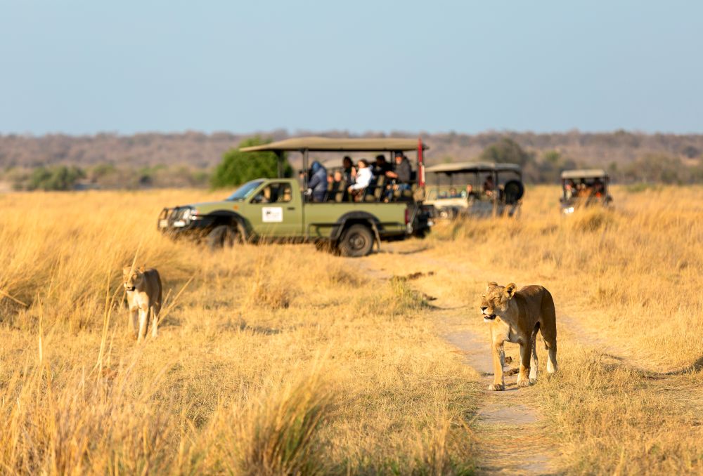 Safari im Queen Elizabeth Nationalpark