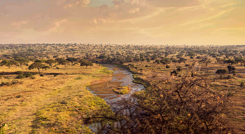 Tarangire Nationalpark