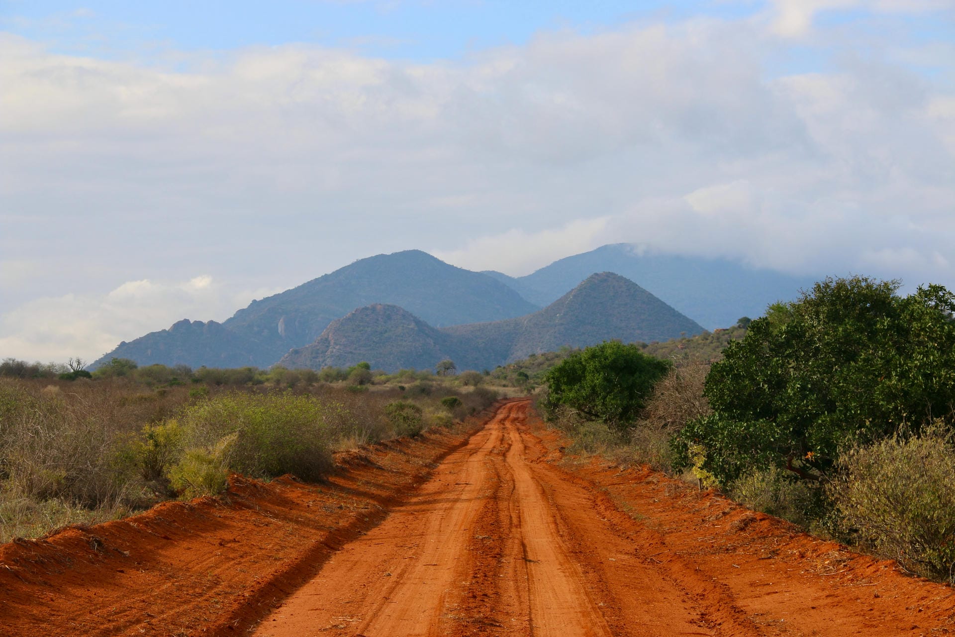 Rote Erde im Tsavo Nationalpark