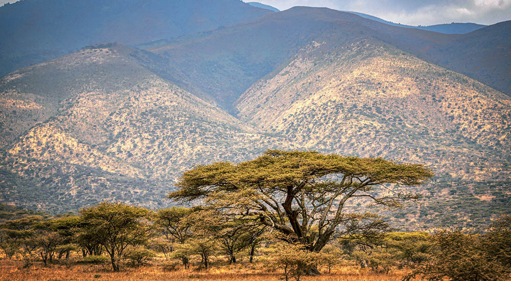 Landschaft im Ngorongoro Krater